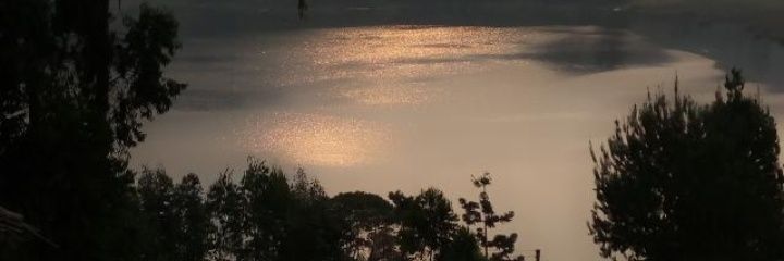 Nyakato Juliet Sheila banner