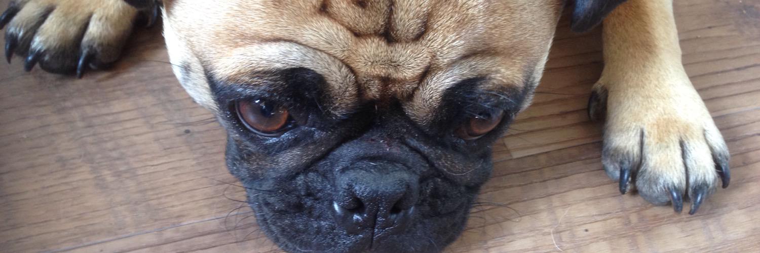 PugUglyGaming's profile banner image