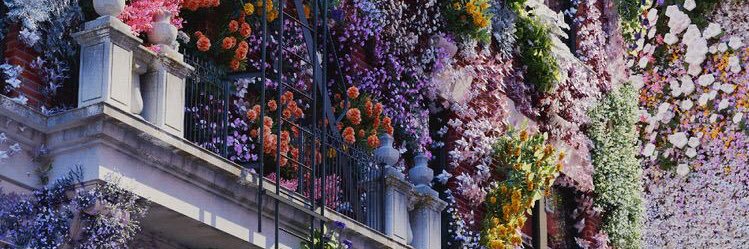 Cath ❤️‍🔥 banner