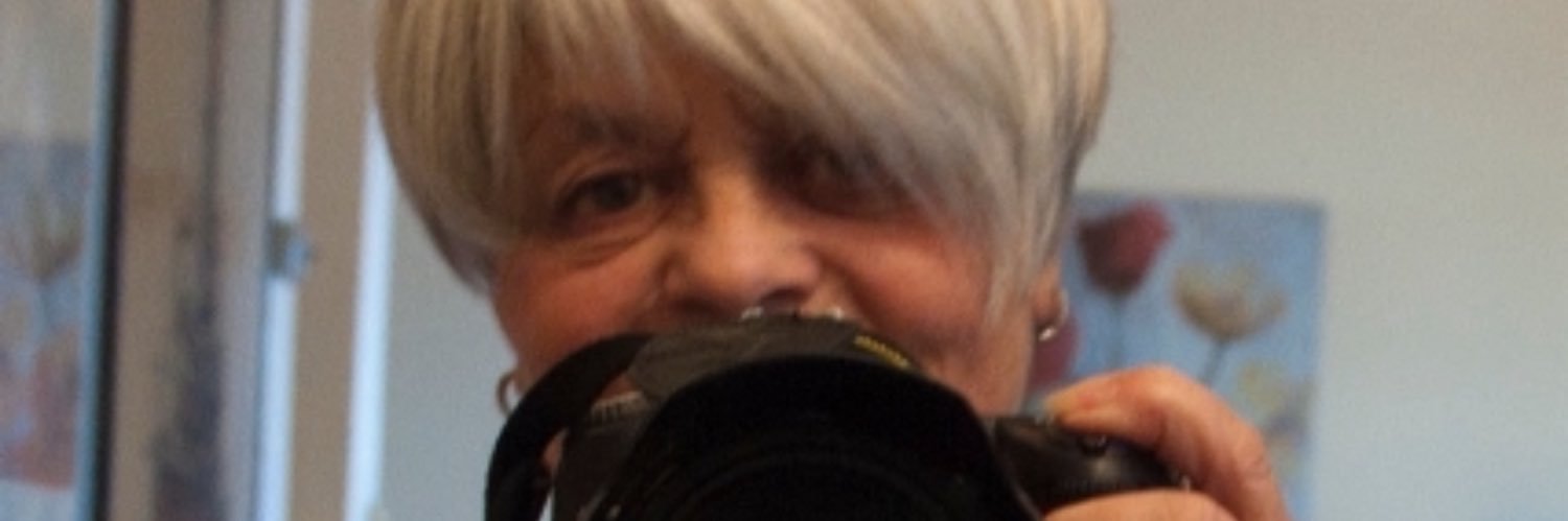 wallstreetshari's profile banner image