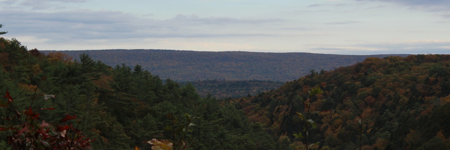 noqualmshere's profile banner image