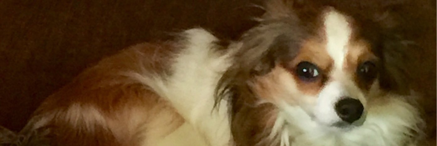 azpux's profile banner image