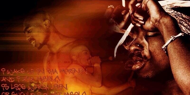 ciro Lion omaggio banner