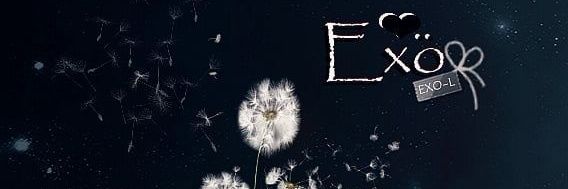 FebiaSLMH's profile banner image