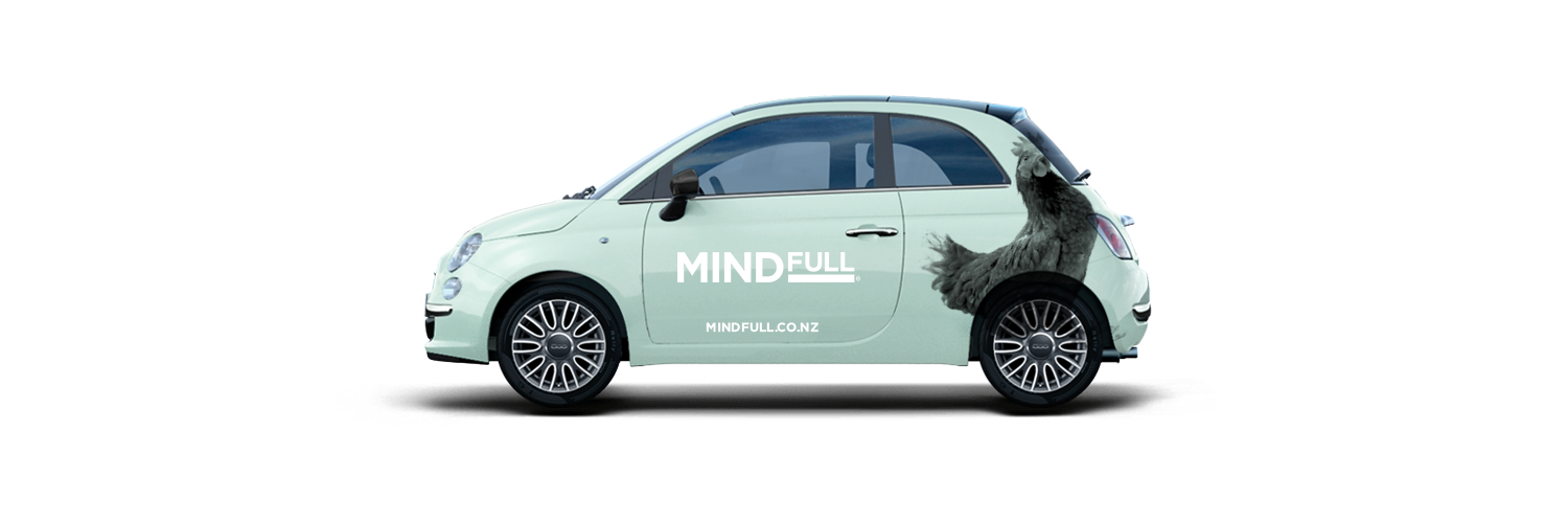 Mindfull_NZ's profile banner image
