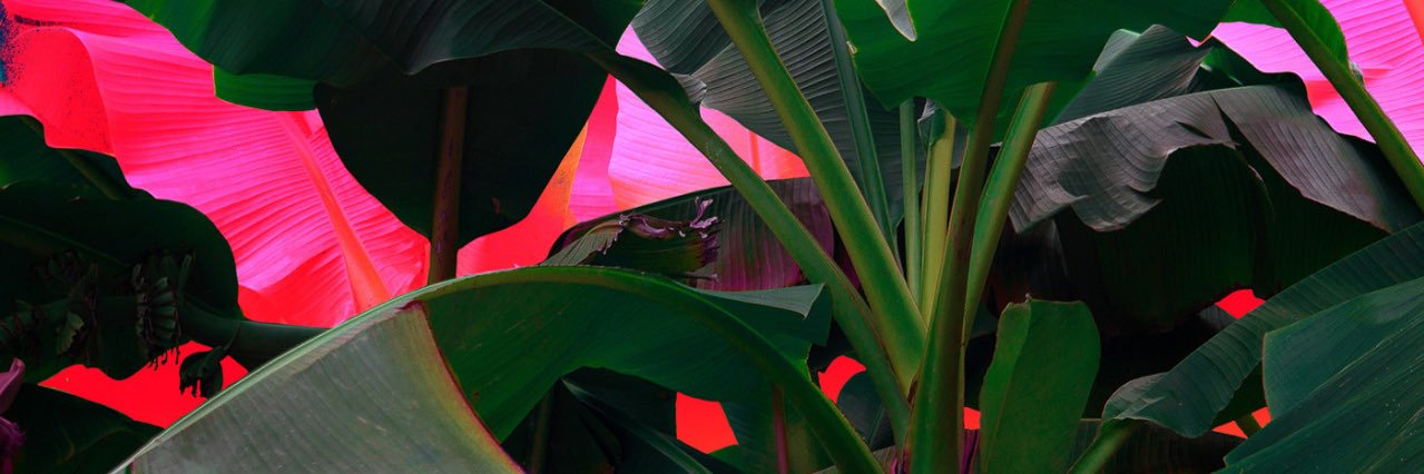stephunieee's profile banner image