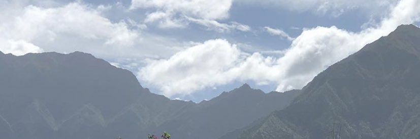 laurenjohn22's profile banner image