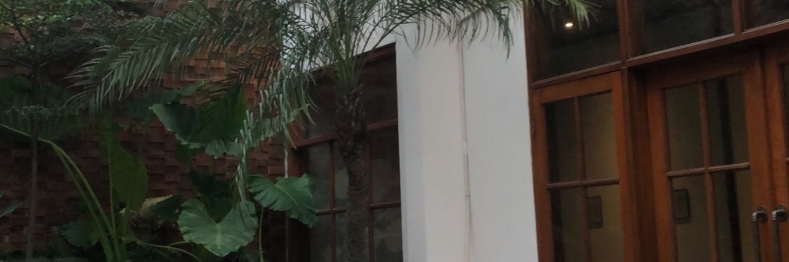 fictiNF's profile banner image