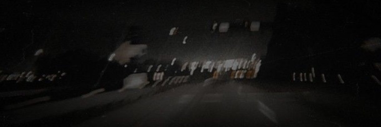 plantsnpleasers's profile banner image