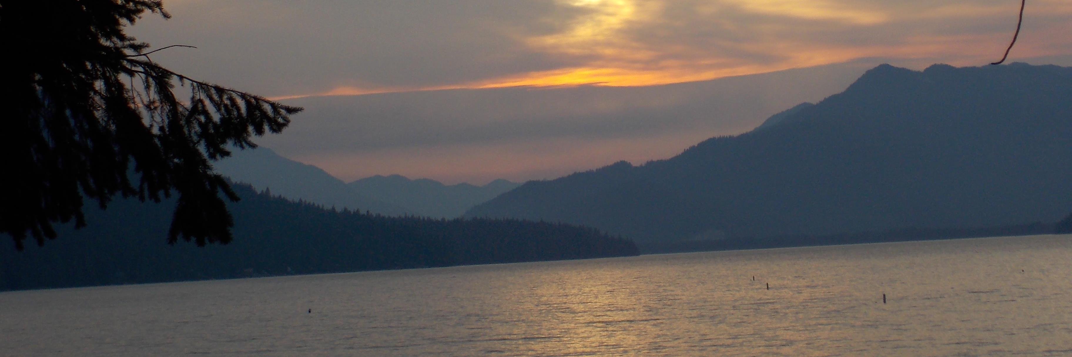 AnnCole68's profile banner image