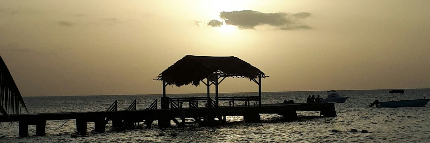 GrabbyStef 🇹🇹 banner