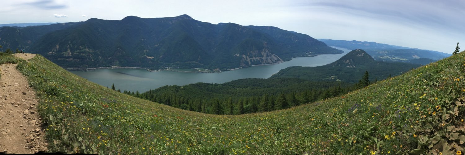 Roseann Fish Getchell banner