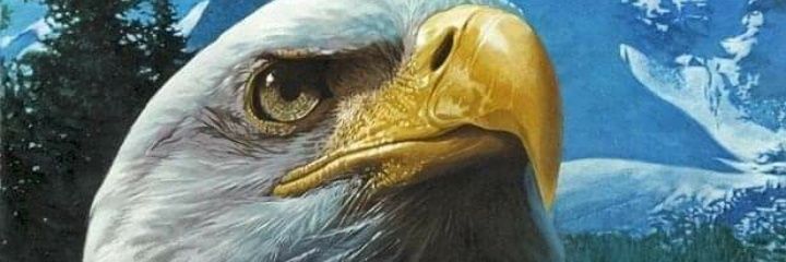 Seagz7's profile banner image