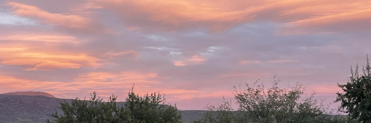 PolethCota's profile banner image