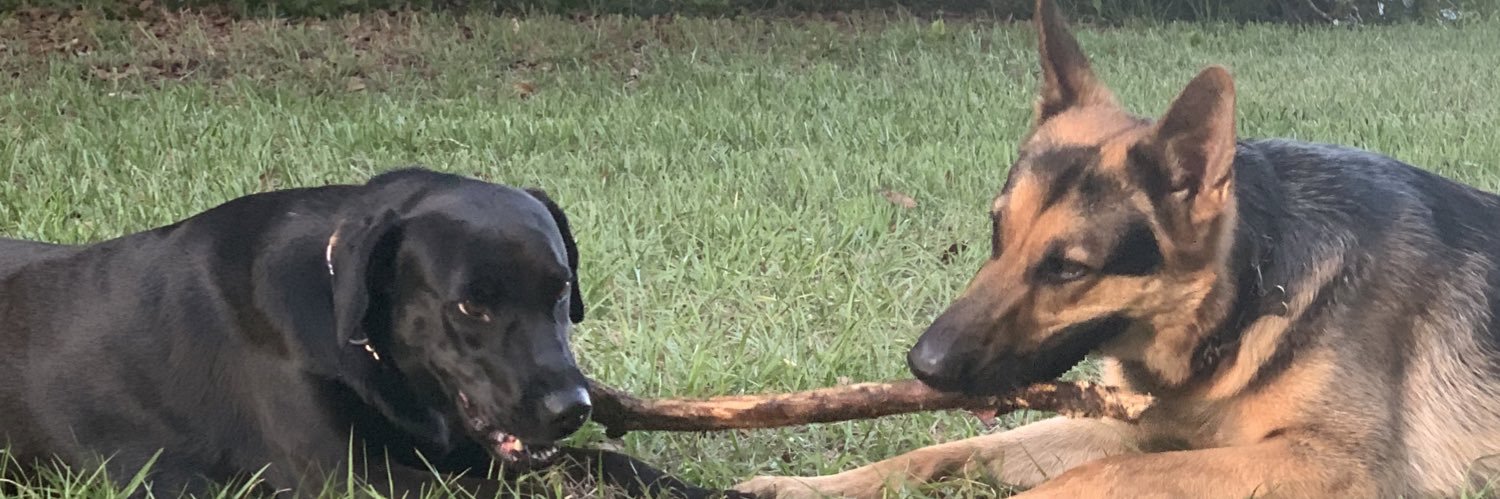 ABuffaloDub's profile banner image