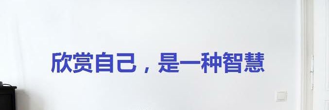 chachazhou's profile banner image