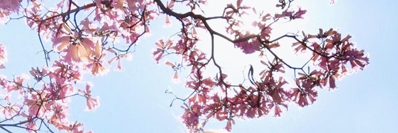 beccaaat16's profile banner image