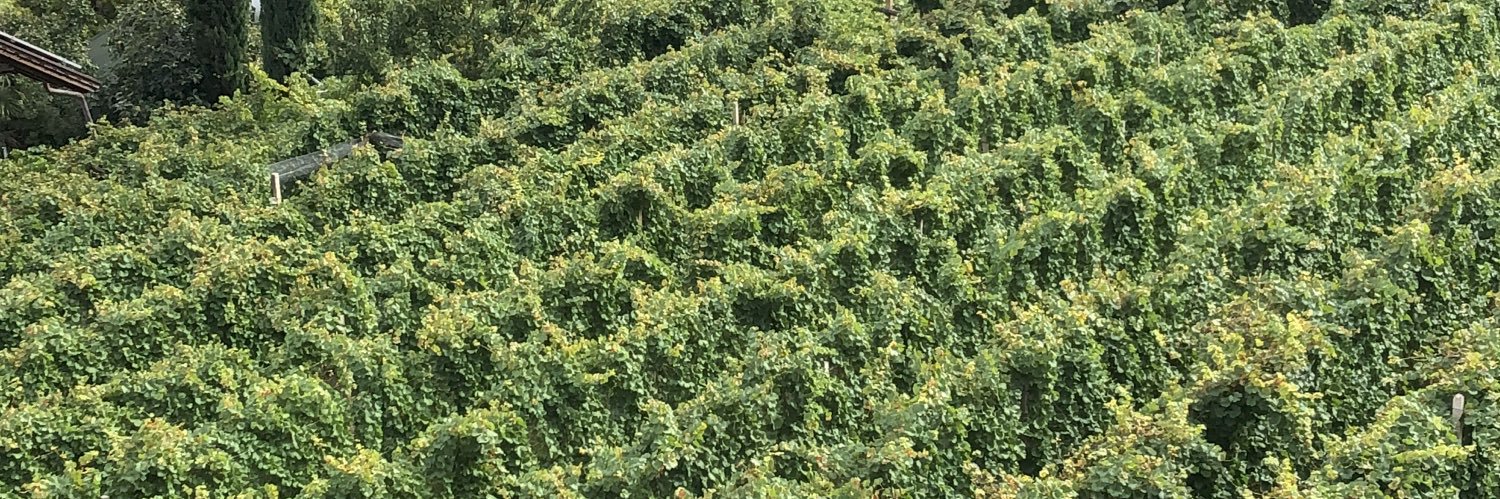 Kjell G Lindqvist banner