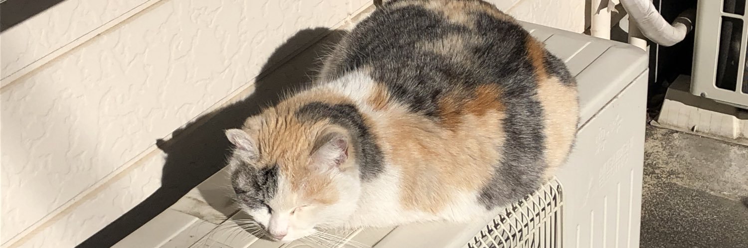 jappaann's profile banner image