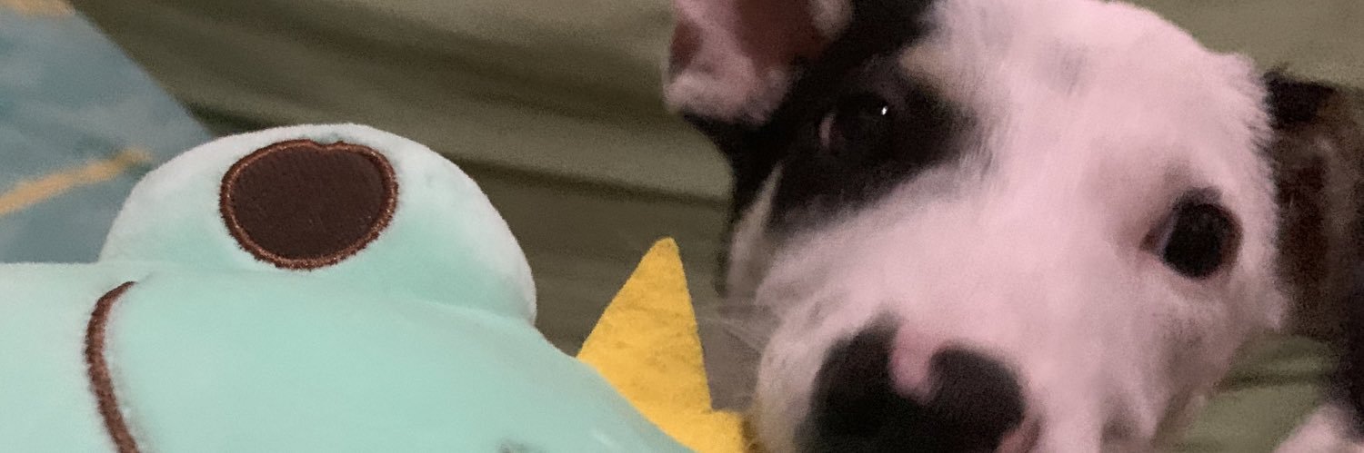kolmawi's profile banner image