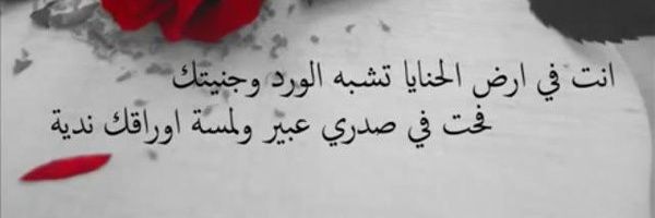 Sarhan55's profile banner image