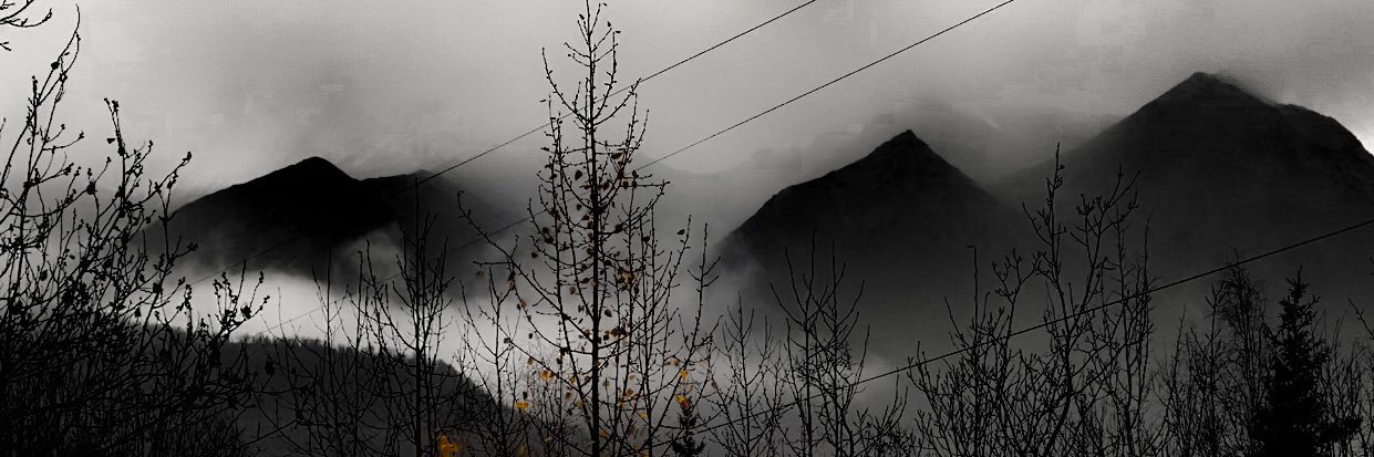 robbycausey's profile banner image
