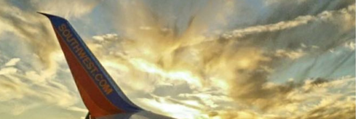 Mark Milrot banner