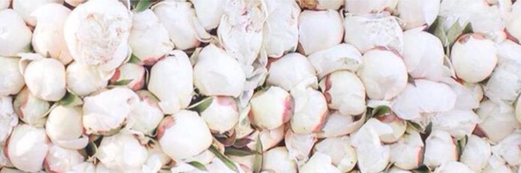 __elmayy's profile banner image