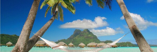 Mitchropo Profile Banner