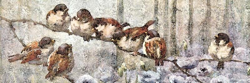 Lisa Gatz banner