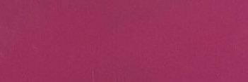 rissea. banner