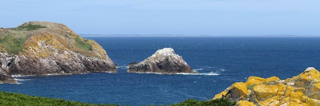 Wexford Masters banner