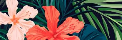 Dindayuren's profile banner image