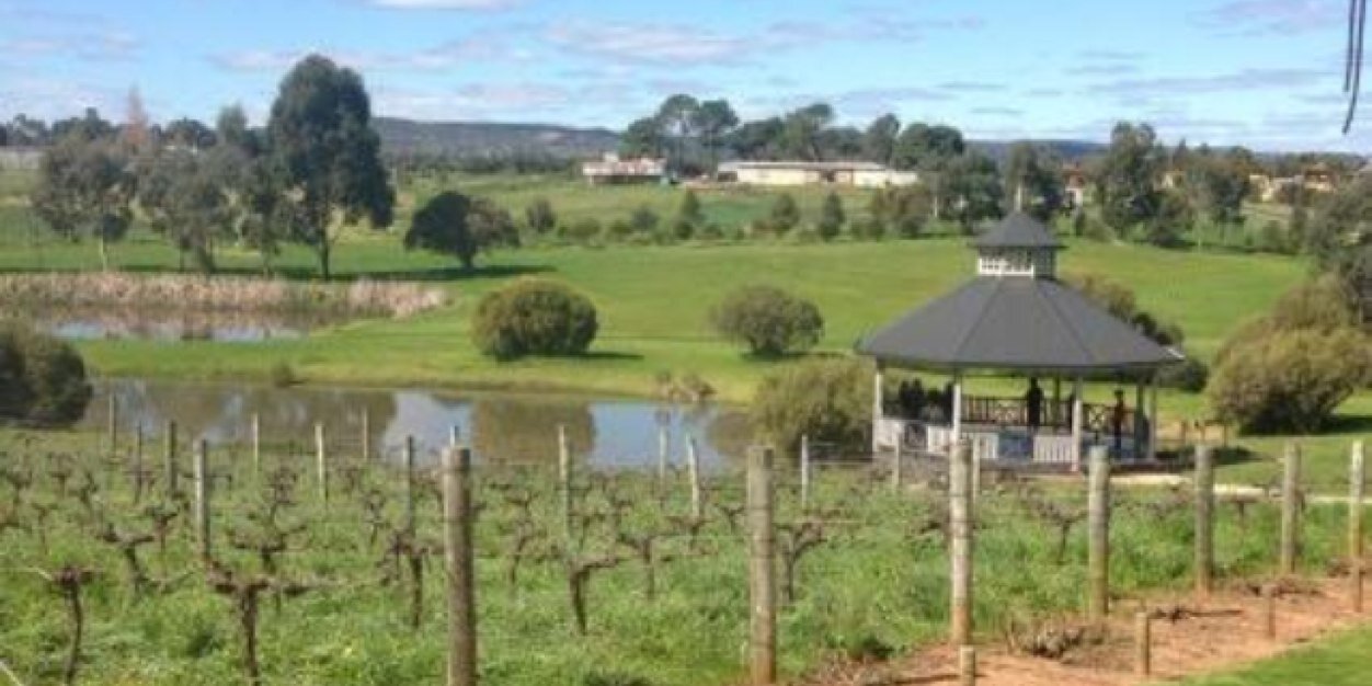 Sittella Winery banner