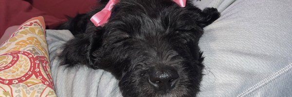 BASSila_ Profile Banner