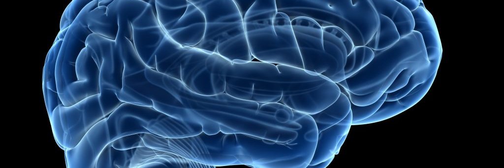 Eric Peterson banner