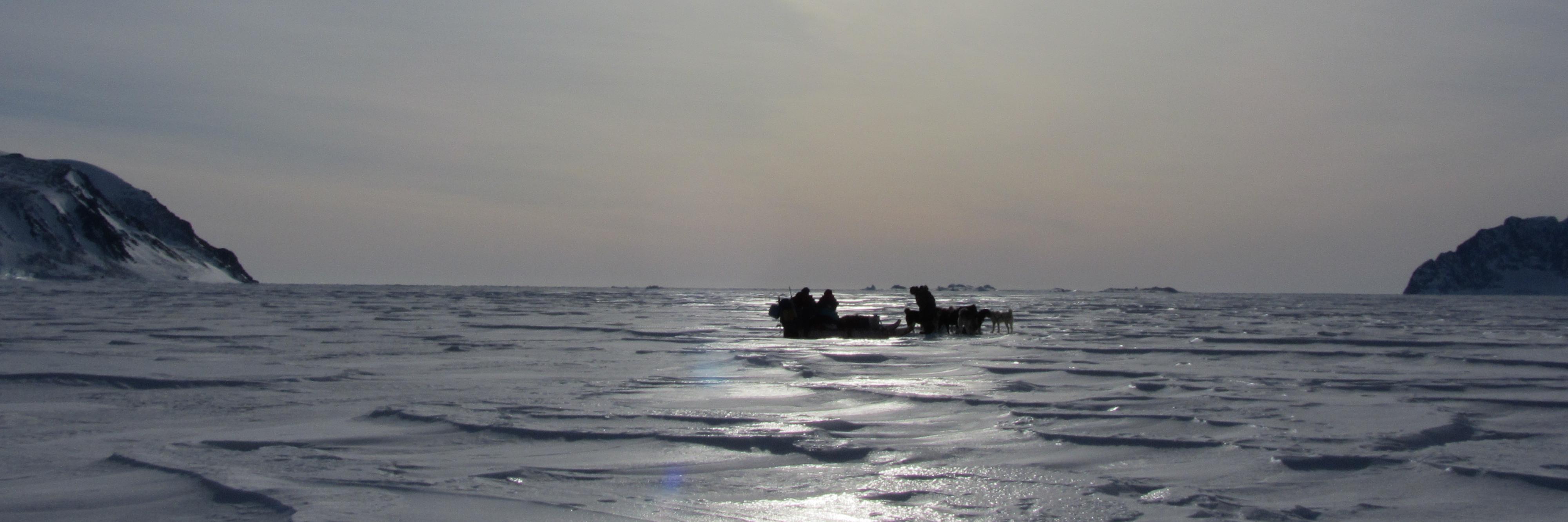 Francesc Bailón banner