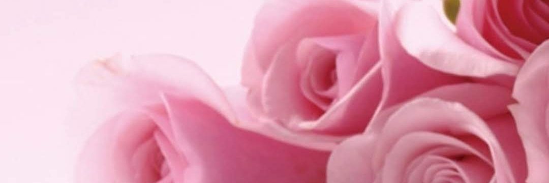 rosasubio's profile banner image