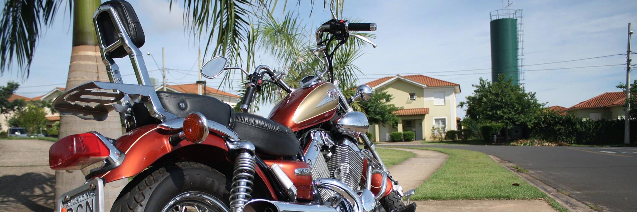 Renato Todorov banner