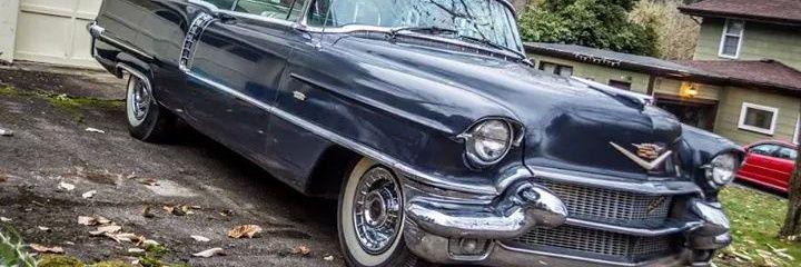 laurbrank's profile banner image