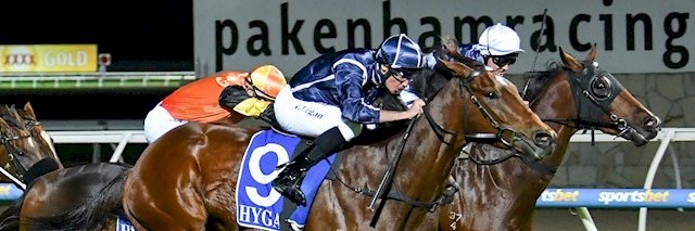 Darryn Cubit banner