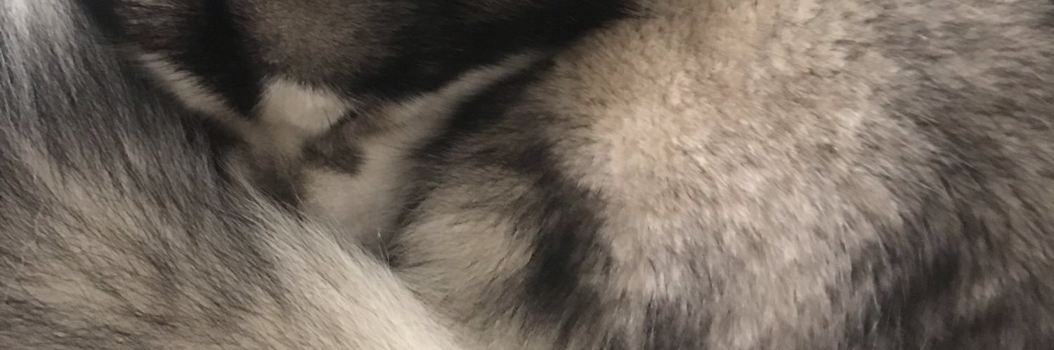 Lucky_'s profile banner image