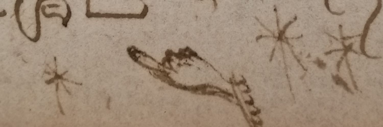 bu_genova's profile banner image