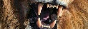 Mar_Marios's profile banner image