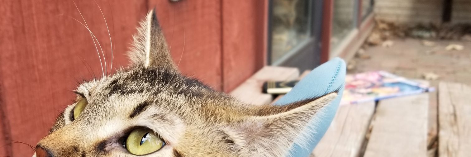 sammiclem's profile banner image