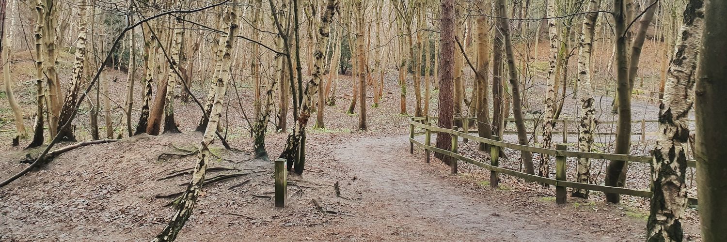 jacques lacan't banner