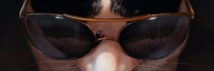 vakilopanda's profile banner image