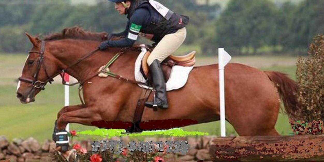 takemeeventing's profile banner image