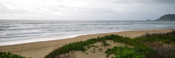GoSocialSA Profile Banner