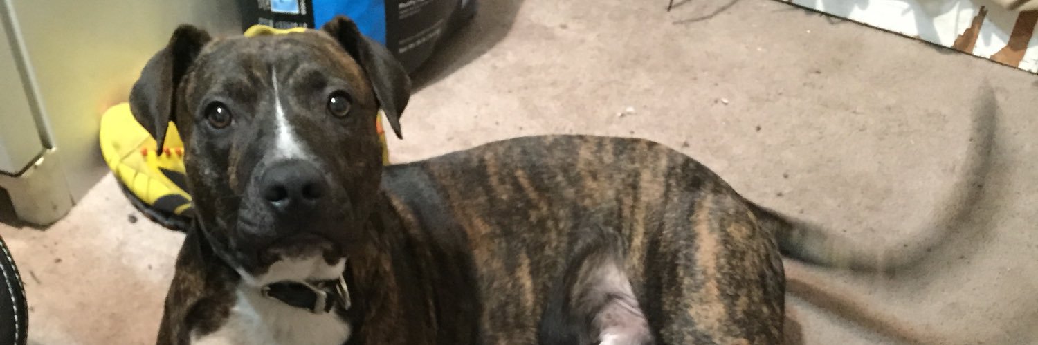 BeingFrankWithYa banner